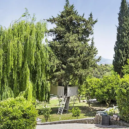 Paradiso Verde 102 Daire